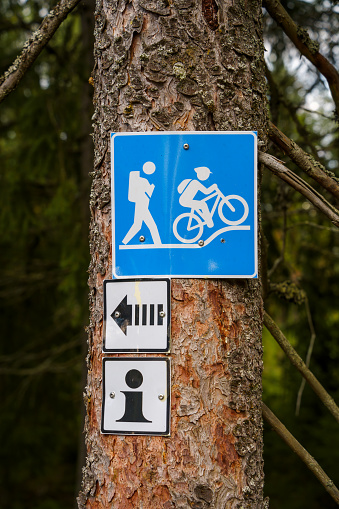 Blue hiking and mountain bike trail sign on a pine tree