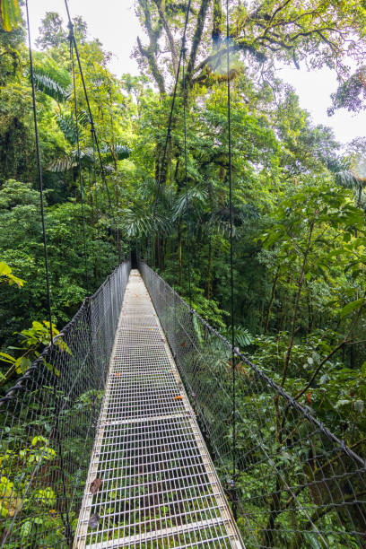 istock Beautiful views in Arenal Natural Park (Costa Rica) 1659504212