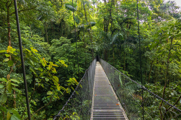 istock Beautiful views in Arenal Natural Park (Costa Rica) 1659504218