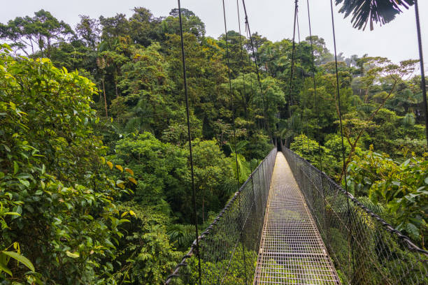 istock Beautiful views in Arenal Natural Park (Costa Rica) 1659504752