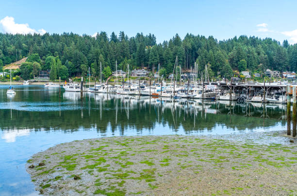 istock Gig Harbor Marina Boats 2 1659514485