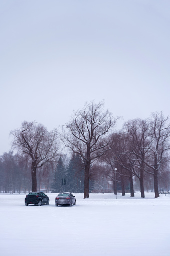 Two cars parked next to a park during snowstorm, winter scene with copy space.