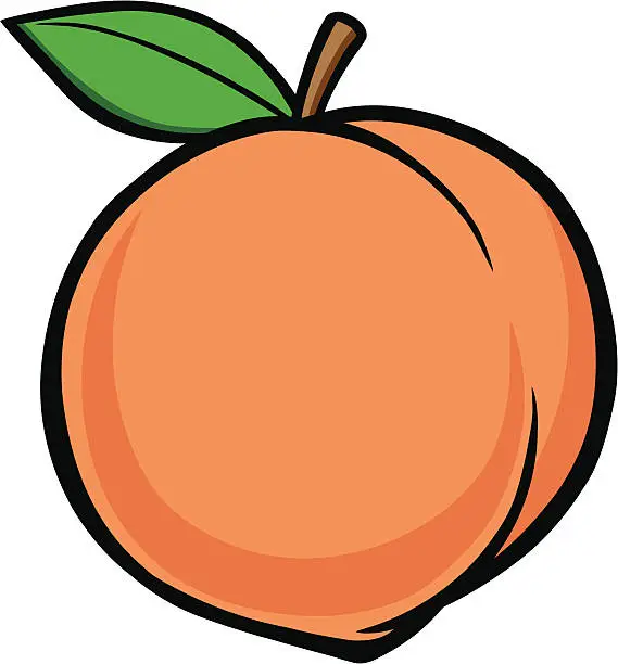 Vector illustration of Peach