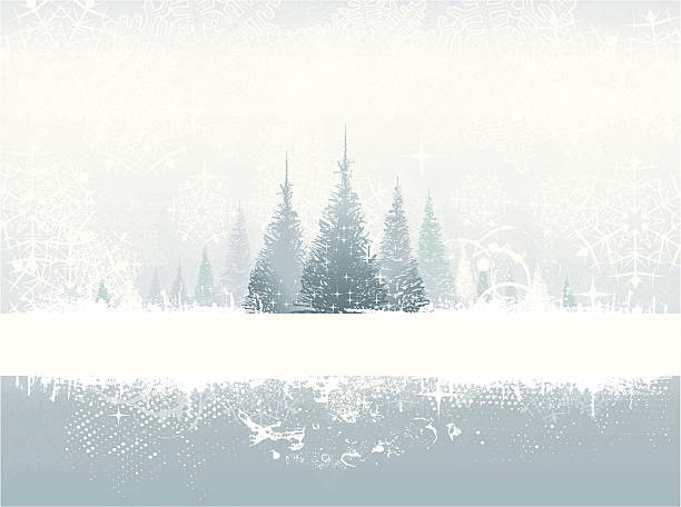 ilustraciones, imágenes clip art, dibujos animados e iconos de stock de grunge fondo de invierno - intricacy snowflake pattern winter