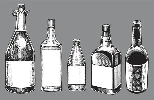 Vector illustration of Alcohol Bottles - Champagne, Wine, Beer, Whiskey, Gin