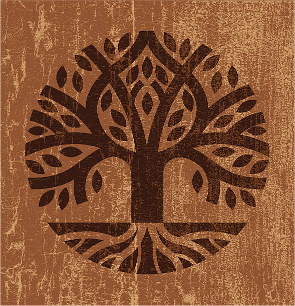 łuszczenie się farby tree - tree root nature environment stock illustrations