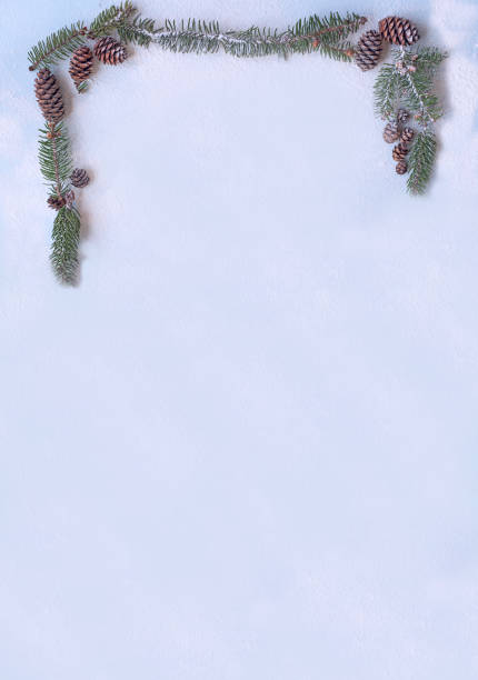 istock New Year's Christmas background with Christmas tree branches and cones on a snowy light background. 1659541514