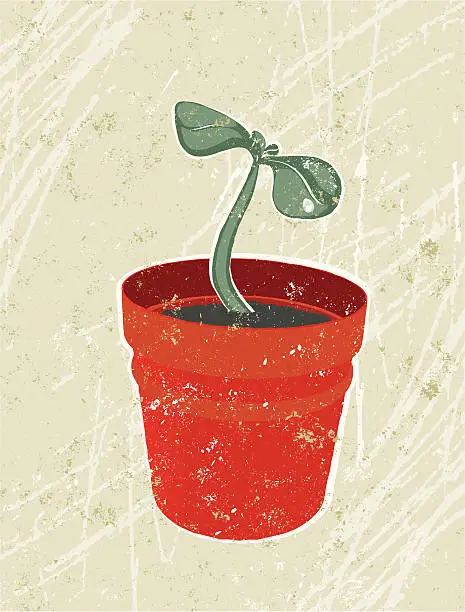 Vector illustration of Young Seedling in a Plant Pot