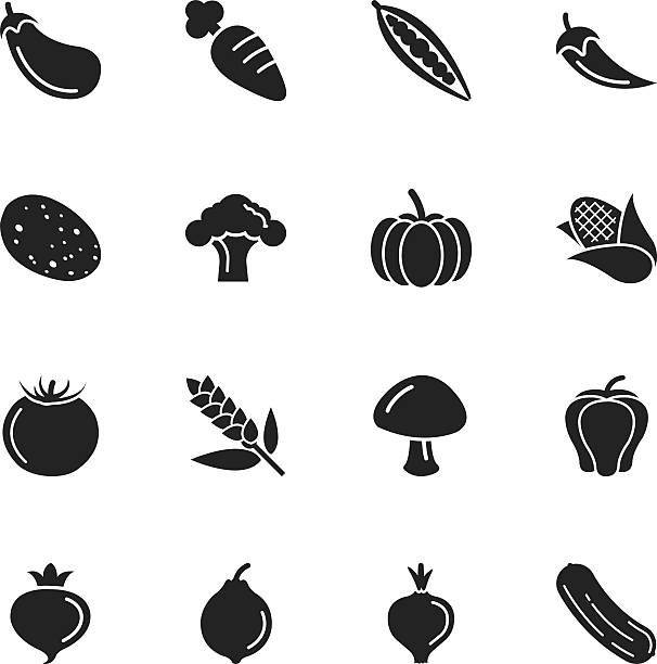 ilustrações, clipart, desenhos animados e ícones de silhueta de ícones de legumes - cauliflower white backgrounds isolated