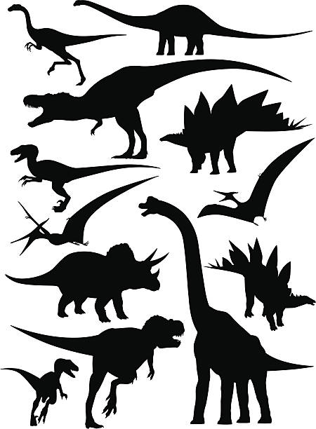 ilustraciones, imágenes clip art, dibujos animados e iconos de stock de siluetas aisladas de diferentes tipos de dinosaurios - tyrannosaur