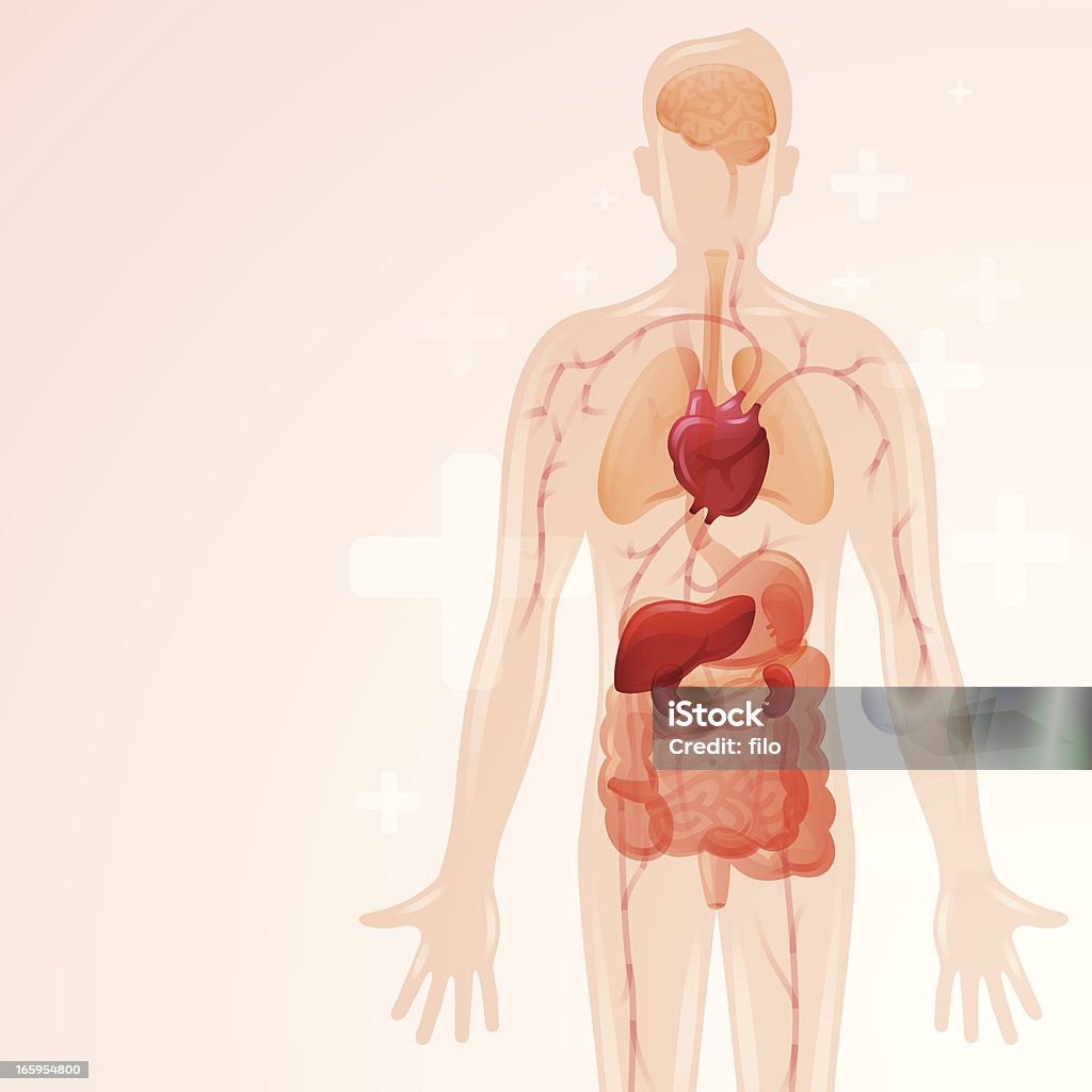 Stan zdrowia ciała - Grafika wektorowa royalty-free (Ciało ludzkie)