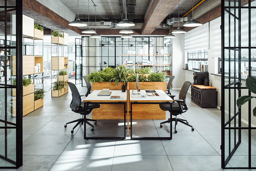 Contemporary office environment featuring furniture and plants.