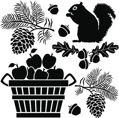 A group of vector icons with an Autumn theme featuring a squirrel, pine branches, oak leaves, acorns and a bushel of apples.