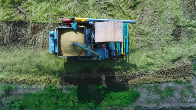 Moden Farm workers are seen harvesting rice and ripe wheat in the fields using combine harvester tractors, with aerial views and tracking shots capturing the agricultural machinery in action.
