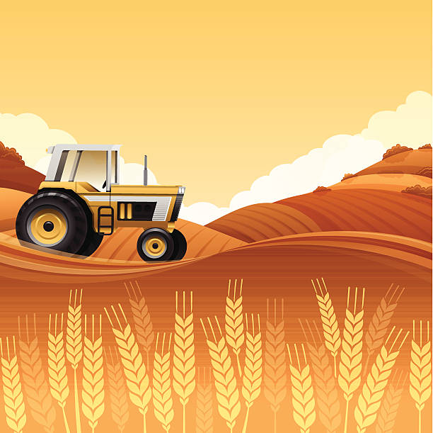 Harvest Tractor Harvest tractor background with copy space. agricultural fields stock illustrations
