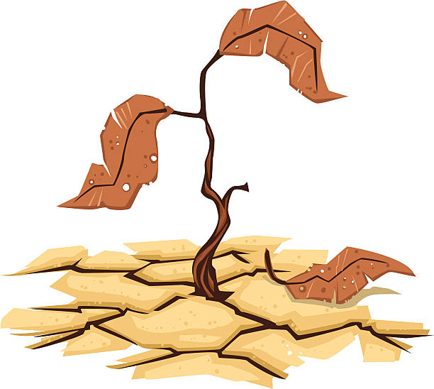 illustrazioni stock, clip art, cartoni animati e icone di tendenza di siccità - dry leaves