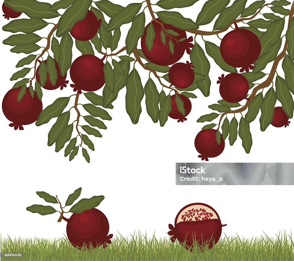 Grenadier et fruits sur de l'herbe - clipart vectoriel de Roch Hachana libre de droits