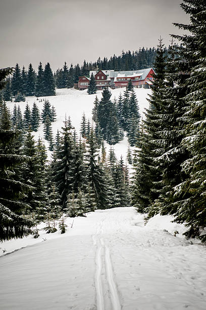 krkonose, riesengebirge - sedmidoli bouda 뉴스 사진 이미지