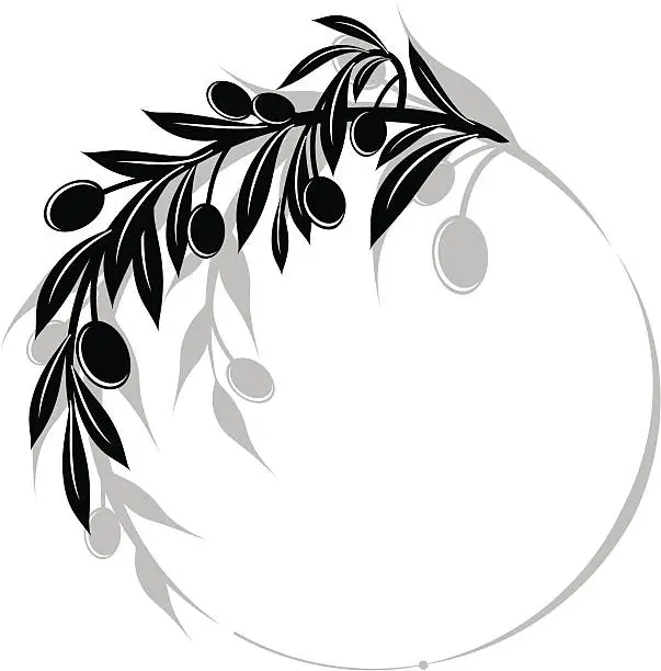 Vector illustration of Olives Branch Swirl Design Element