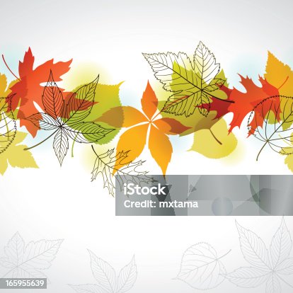 istock Autumn Leaves Border 165955639