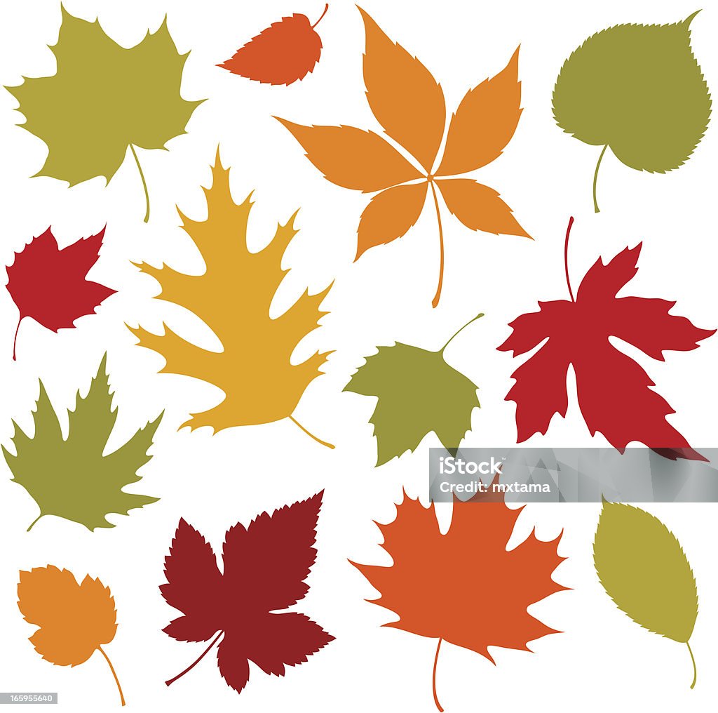 Autumn Leaves Design Elements Autumn leaves design elements.  Global colors used and hi res jpeg included Scroll down to see more of my illustrations. Leaf stock vector