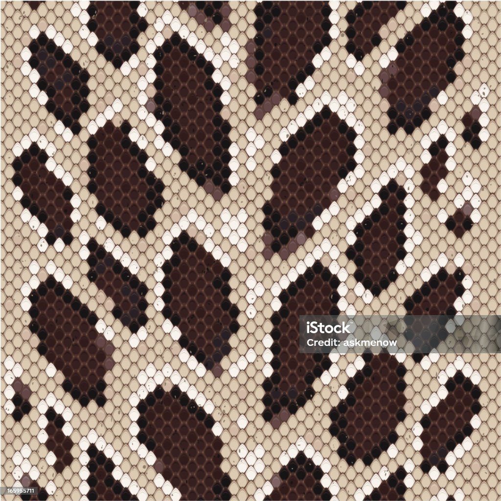 Python Skin Stock Illustration - Download Image Now - Snake, Abstract ...