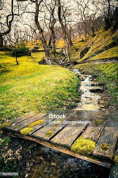 Puente Rural De La Toscana A Castañas Invierno Foto de stock y más banco de imágenes de Agua - Agua, Aire libre, Bosque