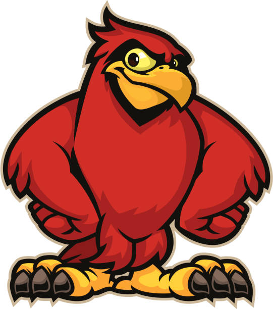 Cardinal mascot This confident little Cardinal mascot is great for any school or sport based design. cardinal mascot stock illustrations