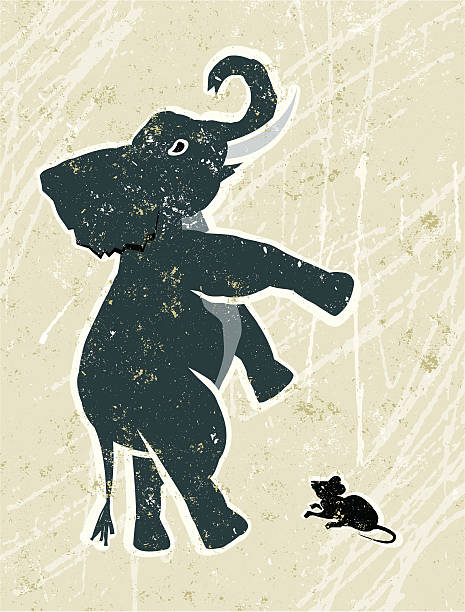 illustrazioni stock, clip art, cartoni animati e icone di tendenza di spaventata elefante e mouse - musophobia