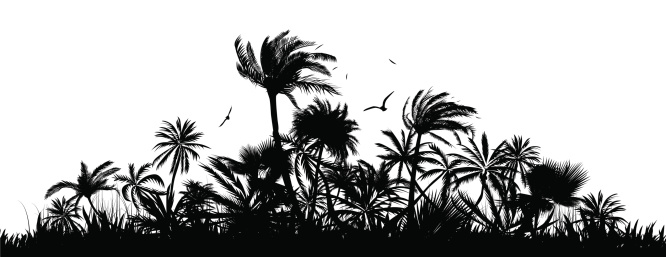 Silhouette of Palm Trees - layered illustration. Every shape is on separate layer.