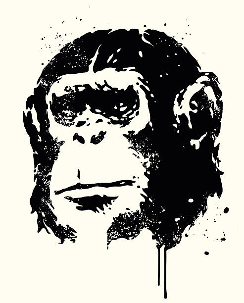 Ape Ape Portrait. monkey illustrations stock illustrations
