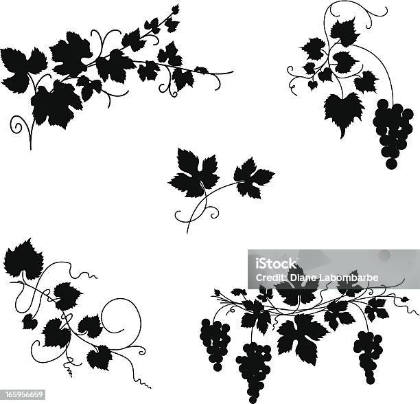 Ilustración de Diseño De Grapevine Ornamentos y más Vectores Libres de Derechos de Parra - Parra, Viña, Uva