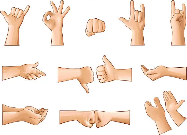 Vector illustration of Illustration of hands making different gestures