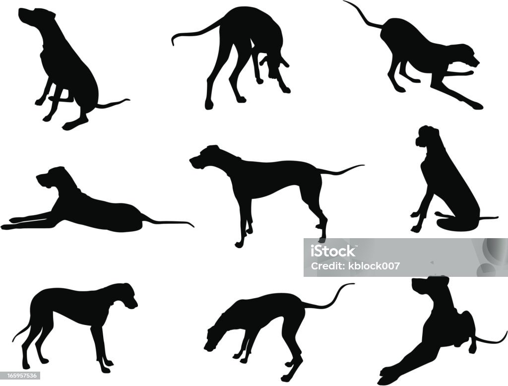 Great Dane Silhouettes 9 vector silhouettes of a female Great Dane. Great Dane stock vector