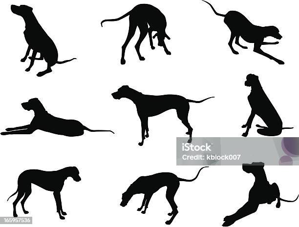 Great Dane Silhouettes Stock Illustration - Download Image Now - Great Dane, In Silhouette, Animal