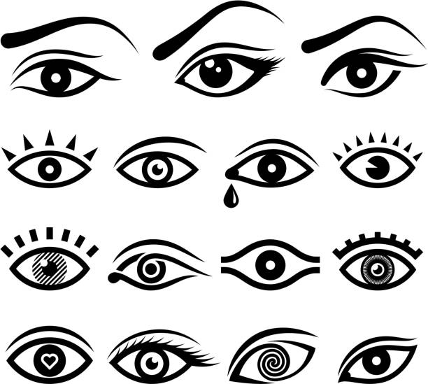 глаз человека проектов и анатомия векторные иконки - aquula stock illustrations
