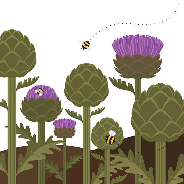 Vector illustration of Artichokes