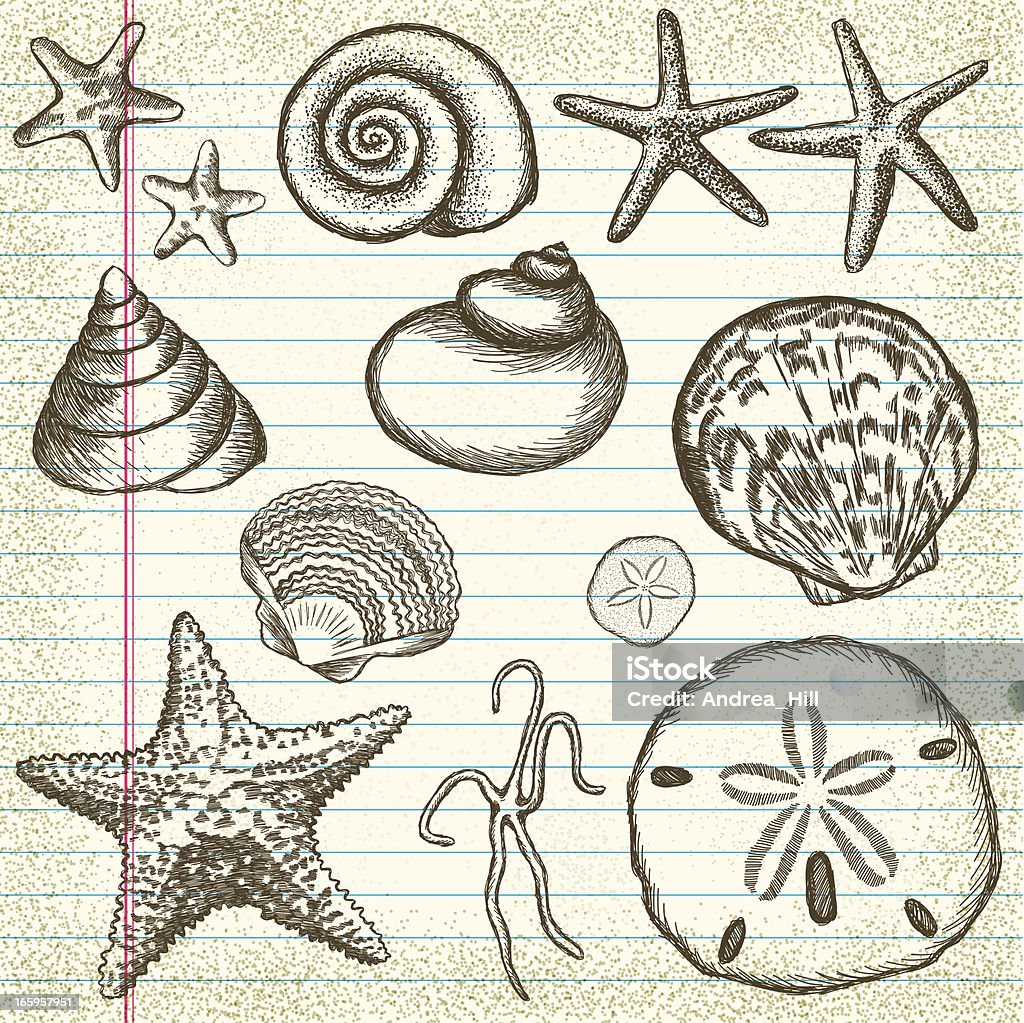 Main dessiné ensemble de coquilles de mer sur vieux papier - clipart vectoriel de Étoile de mer libre de droits