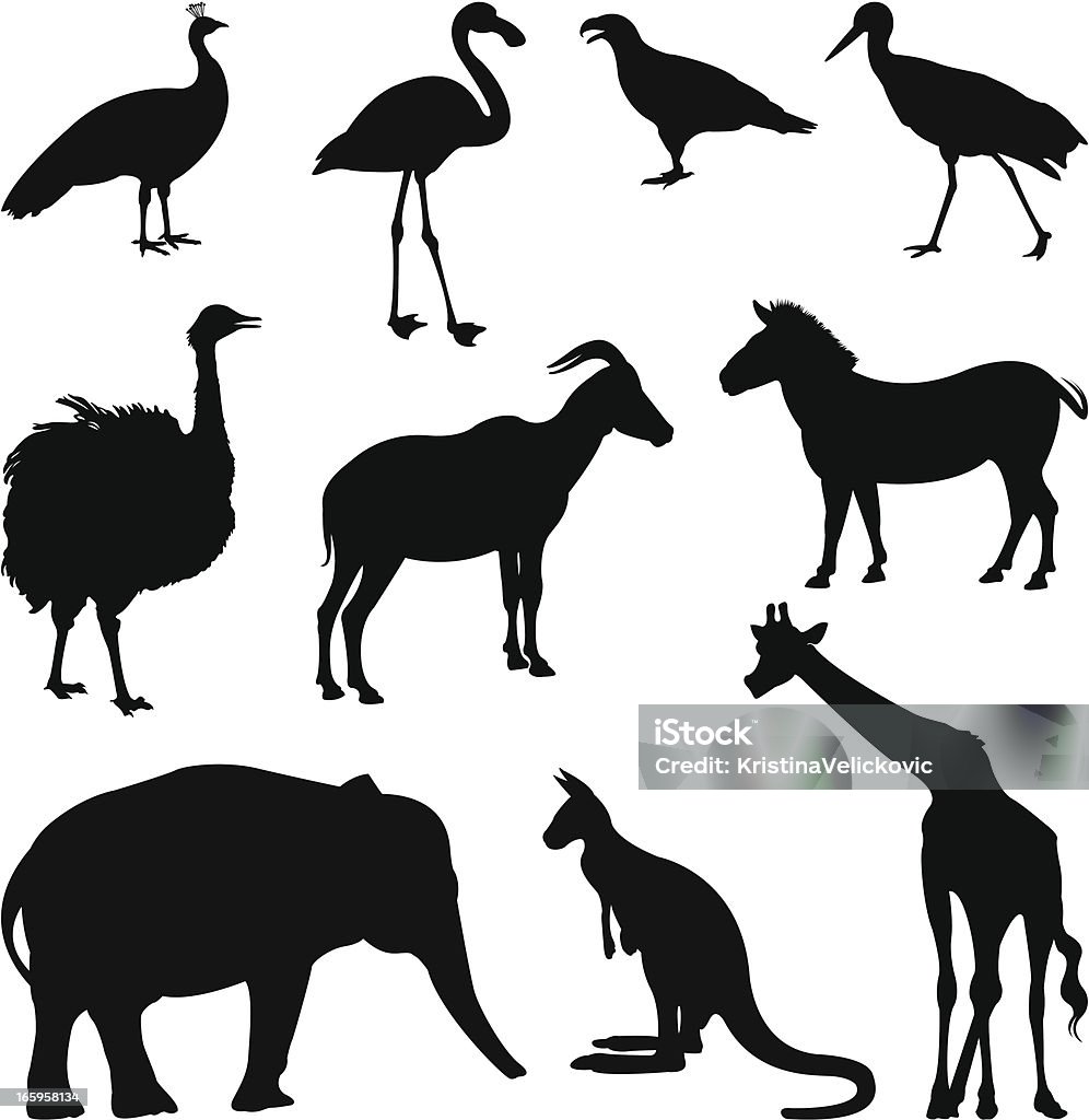 Zwierzęta zwierząt - Grafika wektorowa royalty-free (Bez ludzi)