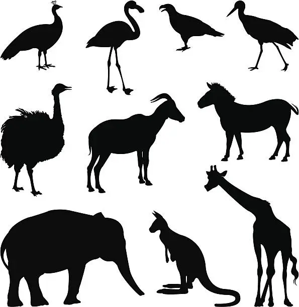 Vector illustration of wild animals