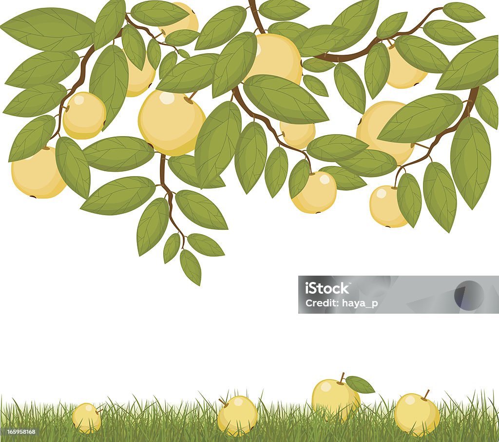 Les Branches des pommes et des fruits sur l'herbe - clipart vectoriel de Branche - Partie d'une plante libre de droits