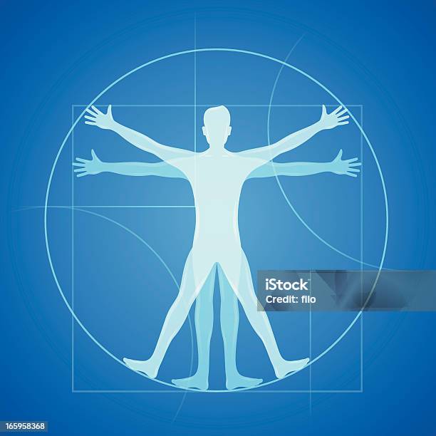 Healthy Body Stock Illustration - Download Image Now - The Human Body, Circle, Blueprint