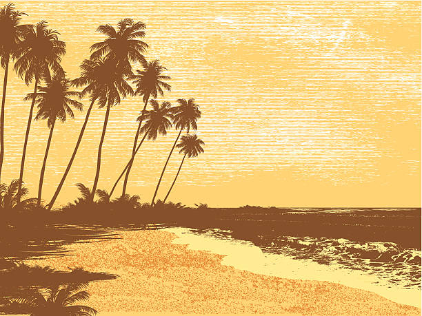 почтовая открытка, ладонями, море - beach retro revival old fashioned palm tree stock illustrations