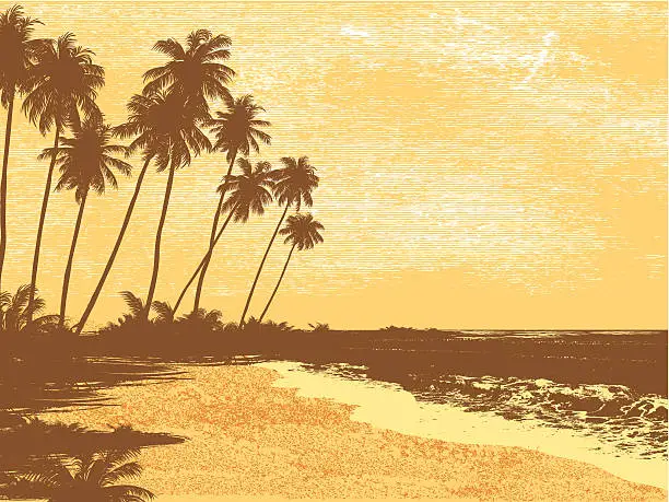 Vector illustration of Postcard, palms, sea