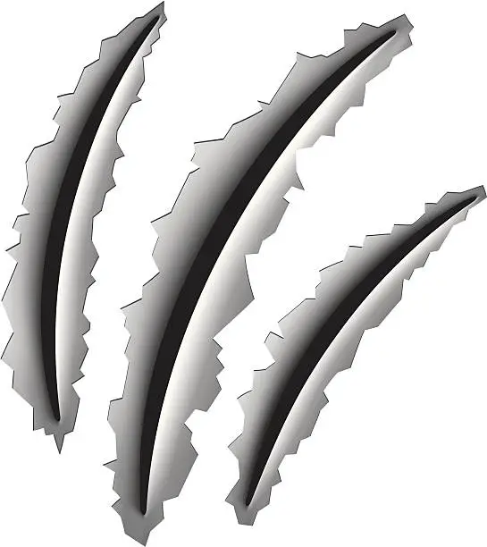 Vector illustration of Claws