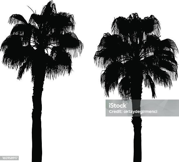 Ilustración de Dos Palm y más Vectores Libres de Derechos de Abstracto - Abstracto, Blanco - Color, Clima tropical