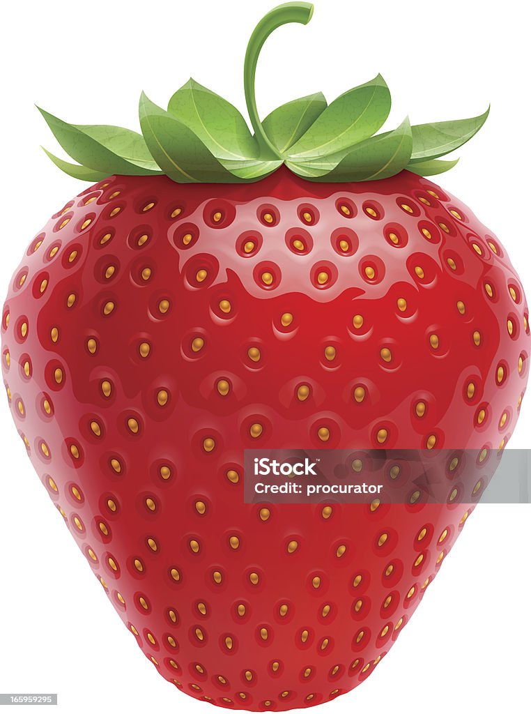 Strawberry Vector illustration of red fresh strawberry. Strawberry stock vector