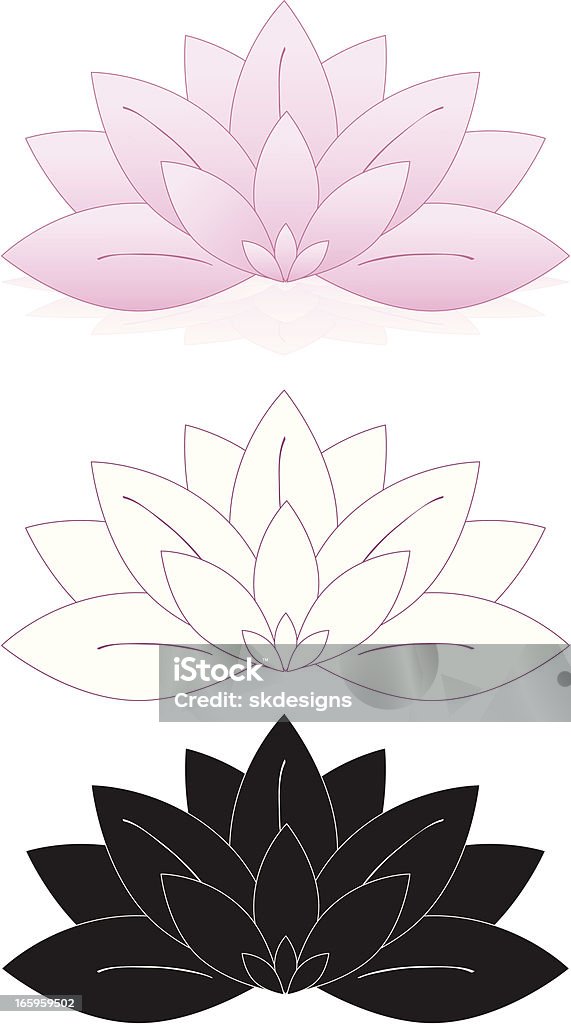 Fiori di loto, ninfee Set (rosa, bianco, nero) - arte vettoriale royalty-free di Fiore di loto