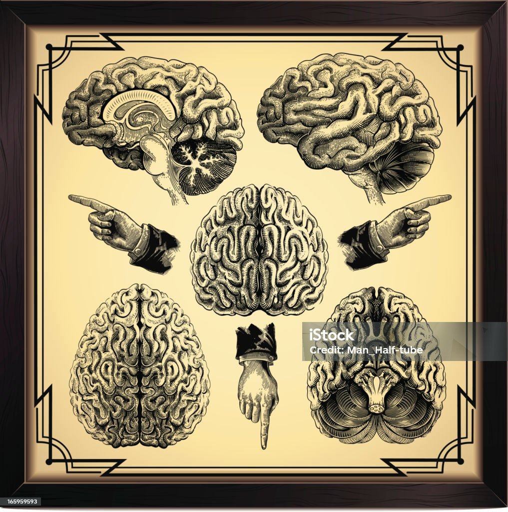 Cerveau humain - clipart vectoriel de Style rétro libre de droits