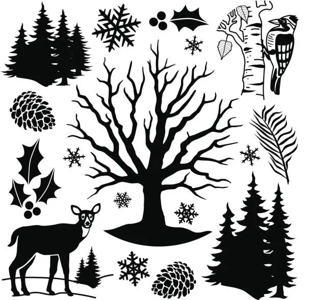 Vector illustration of forest design elements